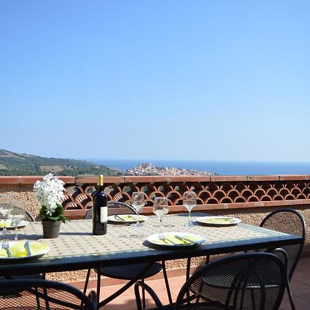 Villa Superbe Vue Sur Mer Et Sur La Montagne Jardin Terrasses Banyuls-sur-Mer Dış mekan fotoğraf