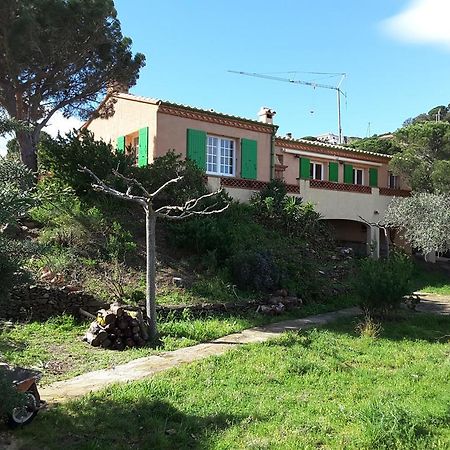 Villa Superbe Vue Sur Mer Et Sur La Montagne Jardin Terrasses Banyuls-sur-Mer Dış mekan fotoğraf