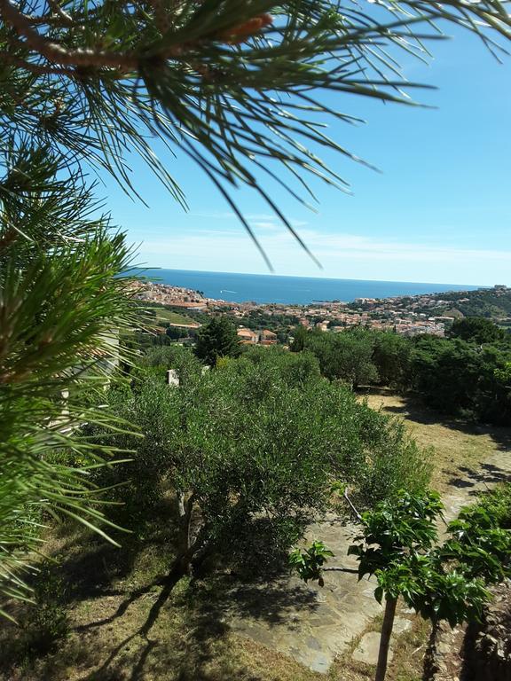 Villa Superbe Vue Sur Mer Et Sur La Montagne Jardin Terrasses Banyuls-sur-Mer Dış mekan fotoğraf